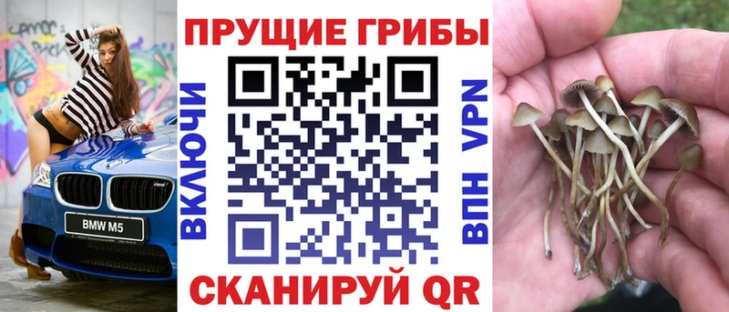 Псилоцибиновые грибы Psilocybine cubensis  гидра вход  Приволжский 