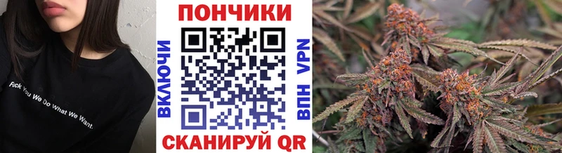 Конопля Bruce Banner  Приволжский 